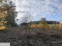 Działka budowlana Żółwin, ul. Tiulowa