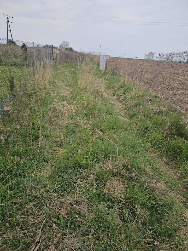 Działka rolna Osłowice. Zdjęcie 10