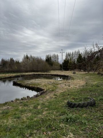 Działka siedliskowa Zdrzewno. Zdjęcie 1