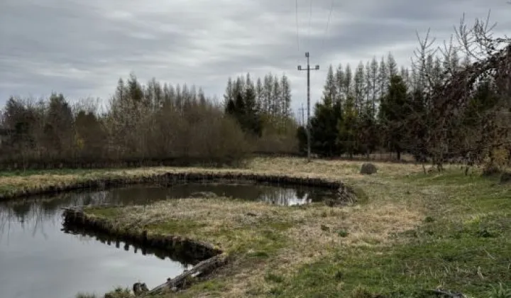 Działka siedliskowa Zdrzewno