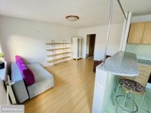 Mieszkanie 1-pokojowe Wrocław Stare Miasto, ul. Biskupia. Zdjęcie 1