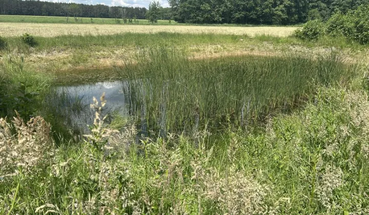 Działka budowlana Stawki