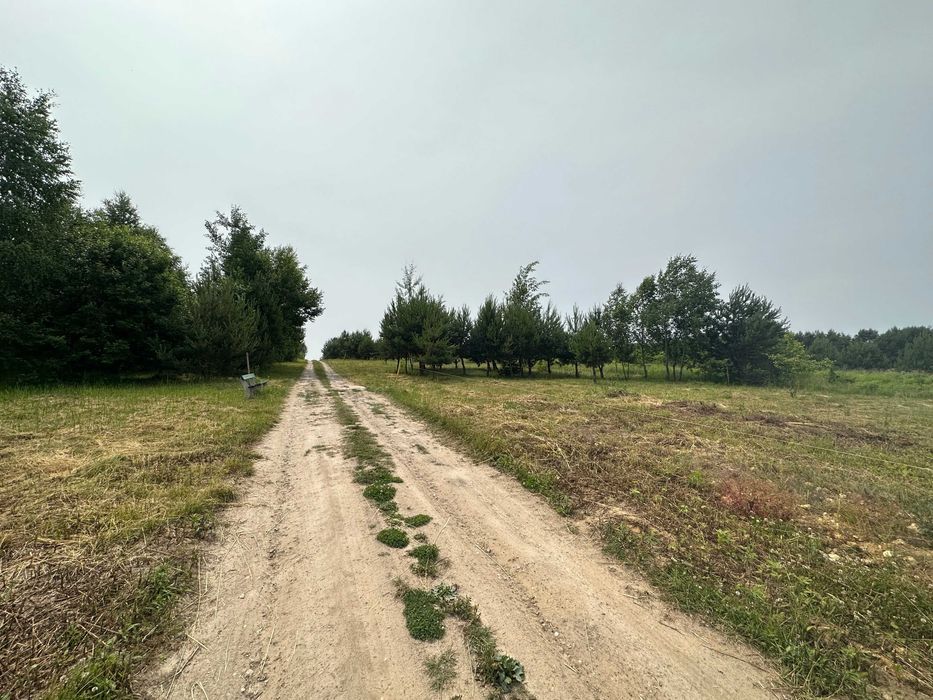 Działka rekreacyjna Chańcza. Zdjęcie 6