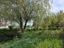 Działka inwestycyjna Barak. Zdjęcie 4