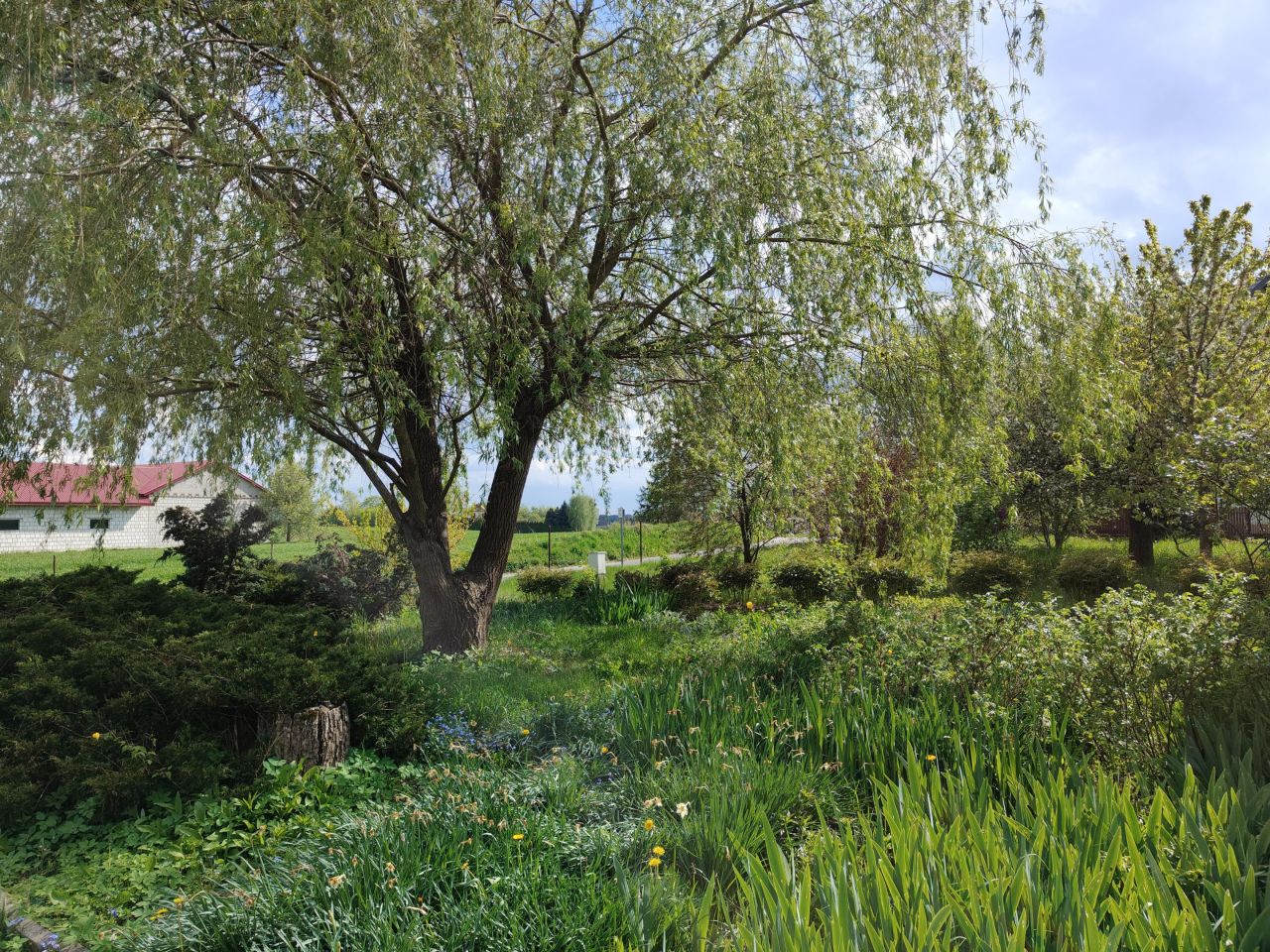 Działka inwestycyjna Barak. Zdjęcie 5