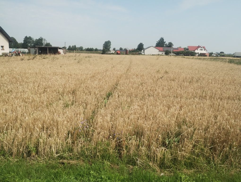 Działka budowlana Wola Miedniewska. Zdjęcie 4