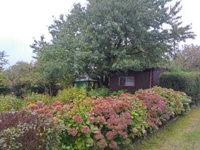 Działka rod Wieliczka, ul. Mała. Zdjęcie 1