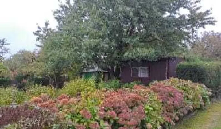 Działka rod Wieliczka, ul. Mała