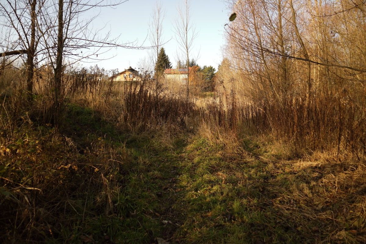 Działka budowlana Czerwonak, ul. Leśna. Zdjęcie 6