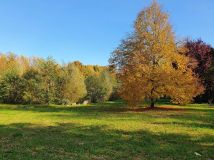 Działka budowlana Broniewice. Zdjęcie 4