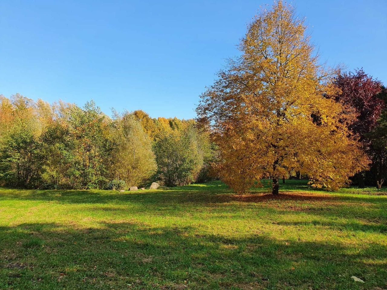 Działka budowlana Broniewice. Zdjęcie 5