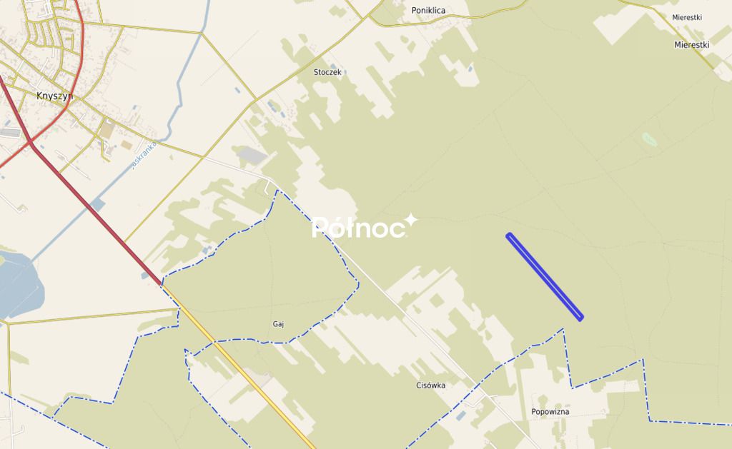 Działka leśna Poniklica. Zdjęcie 5