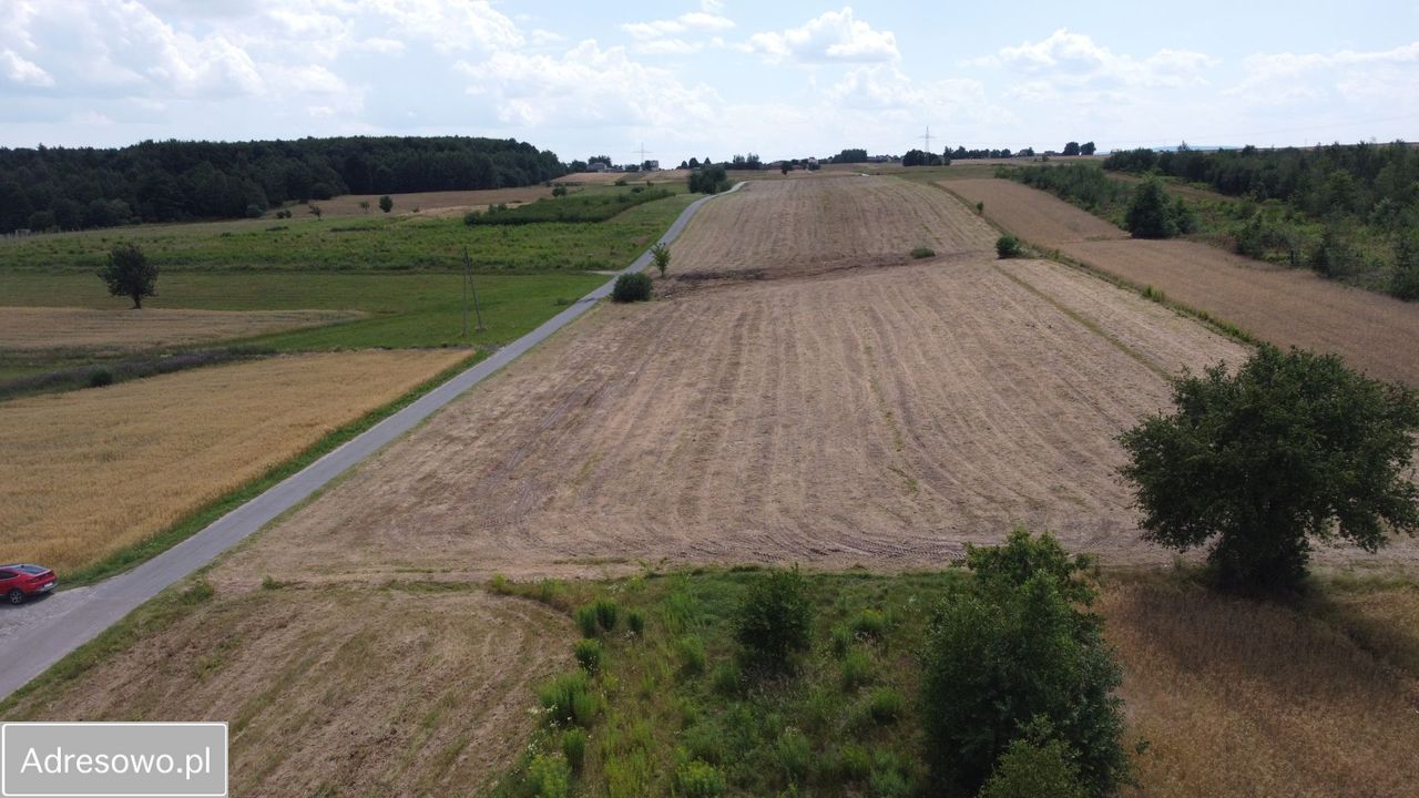 Działka inwestycyjna Dąbrowa. Zdjęcie 4