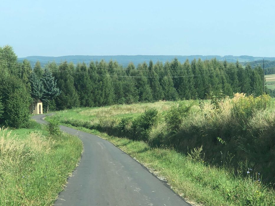 Działka leśna Jawornik Polski. Zdjęcie 5