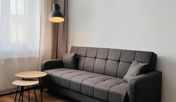 Mieszkanie 1-pokojowe Poznań Jeżyce, ul. Żurawia