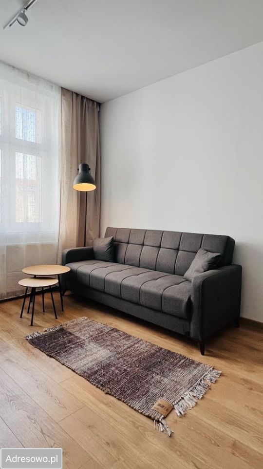 Mieszkanie 1-pokojowe Poznań Jeżyce, ul. Żurawia. Zdjęcie 1