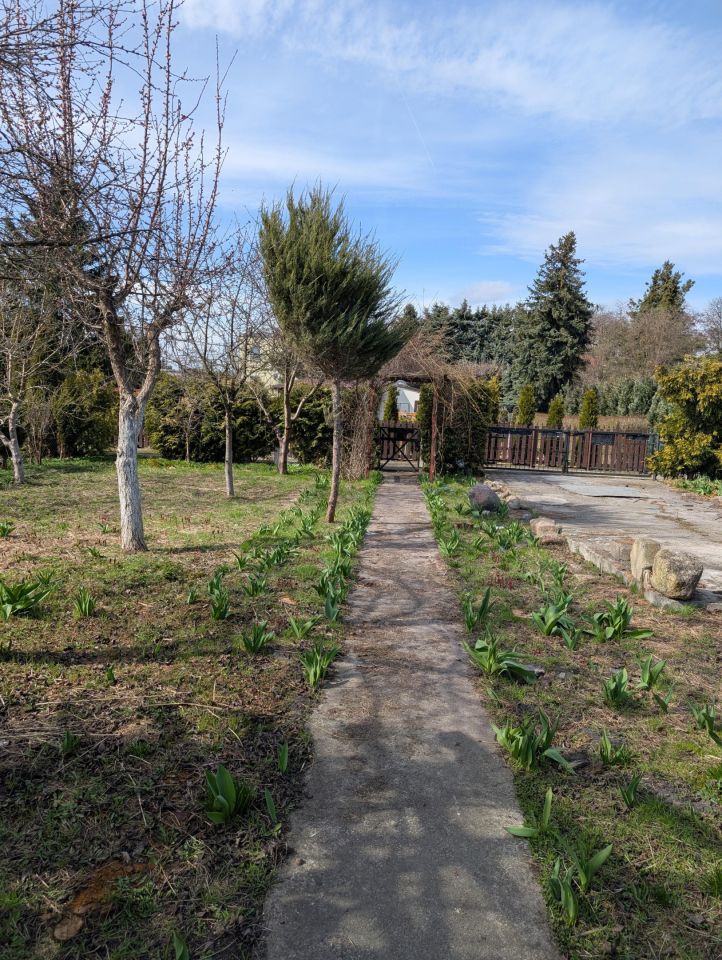 Działka rod Grudziądz Centrum, ul. Kochanowskiego. Zdjęcie 5