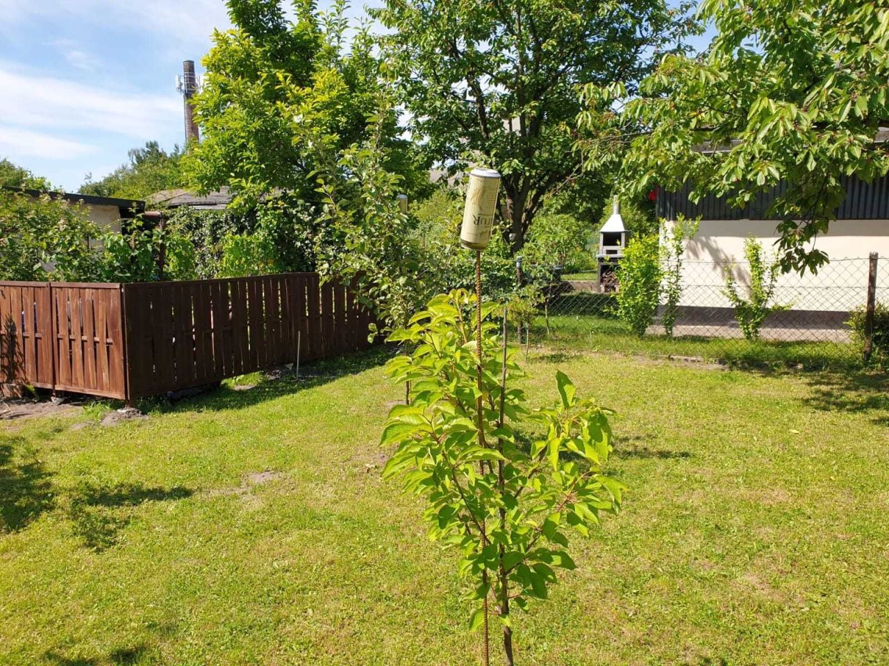 Działka rod Gliwice Kopernik, ul. Myśliwska. Zdjęcie 4
