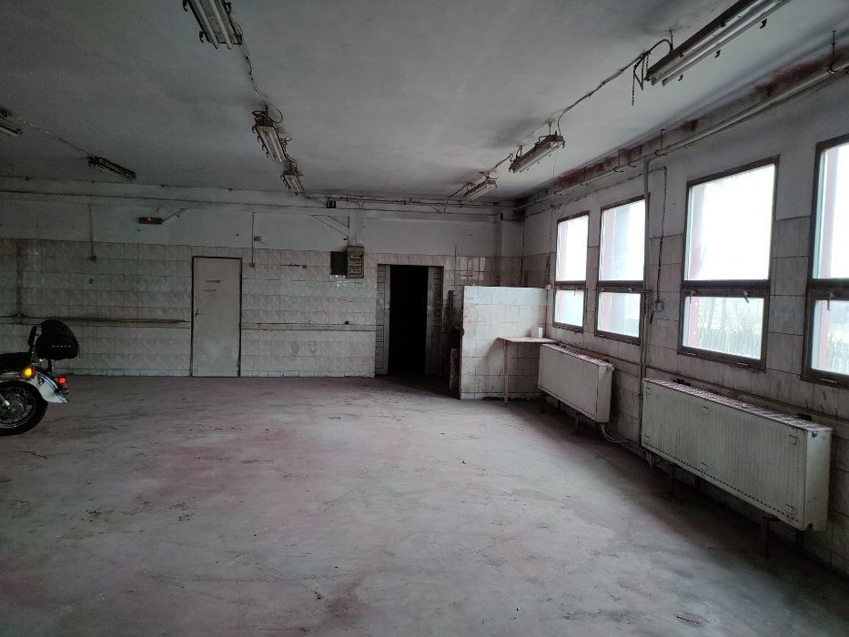 Hala/magazyn Warzyn Pierwszy. Zdjęcie 5