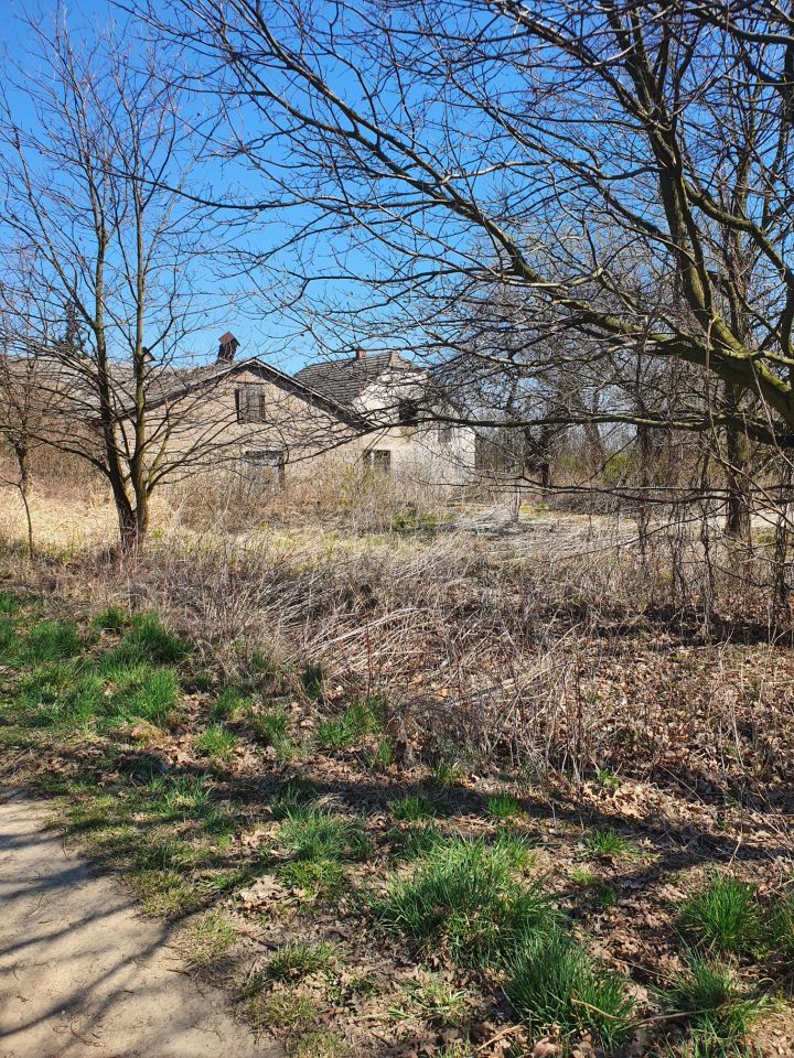 dom wolnostojący, 3 pokoje Okleśna. Zdjęcie 15