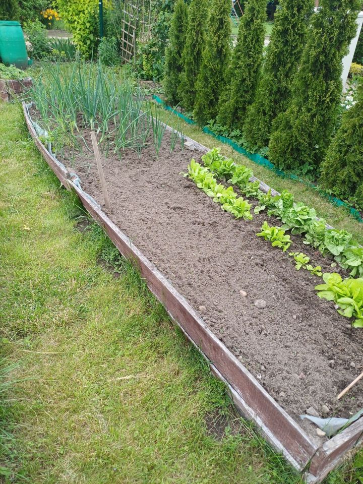 Działka rod Chodzież. Zdjęcie 4