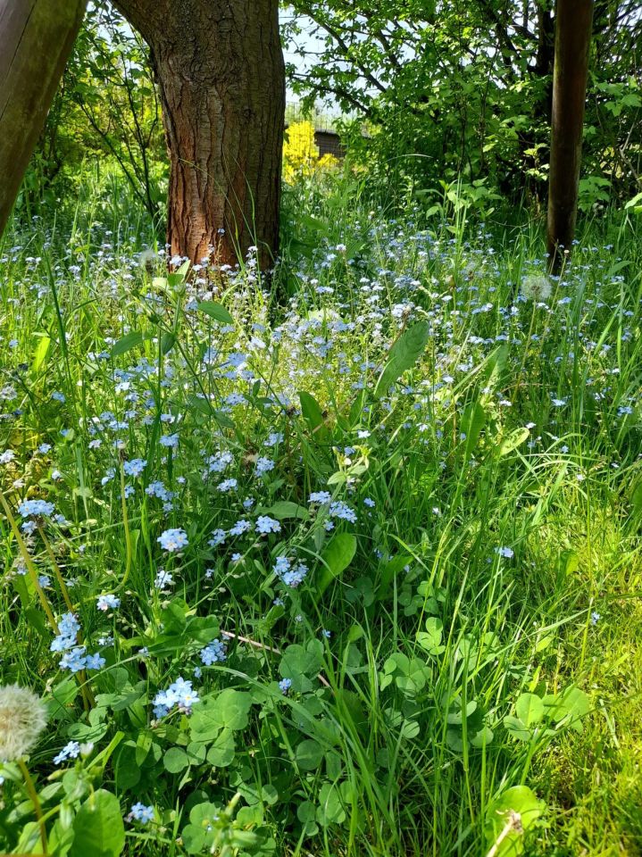 Działka rod Kraków Bronowice, ul. Mydlnicka. Zdjęcie 6