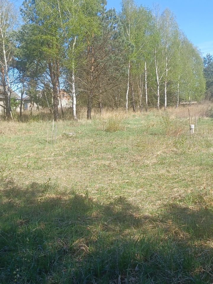 Działka budowlana Basznia Dolna Piaski, ul. Sportowa. Zdjęcie 8