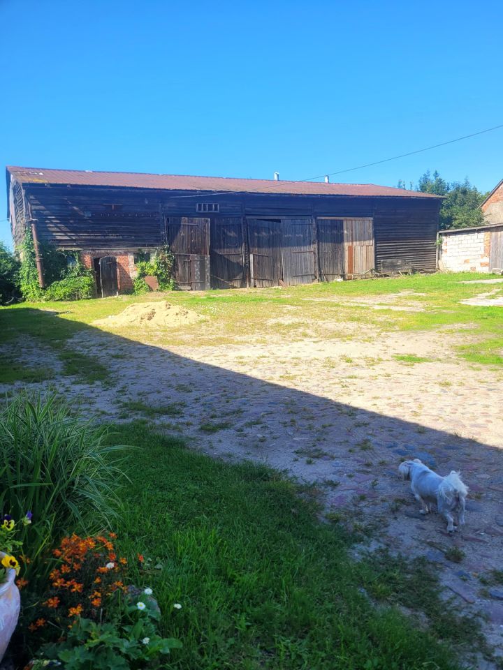 dom wolnostojący, 7 pokoi Trzebawie. Zdjęcie 18