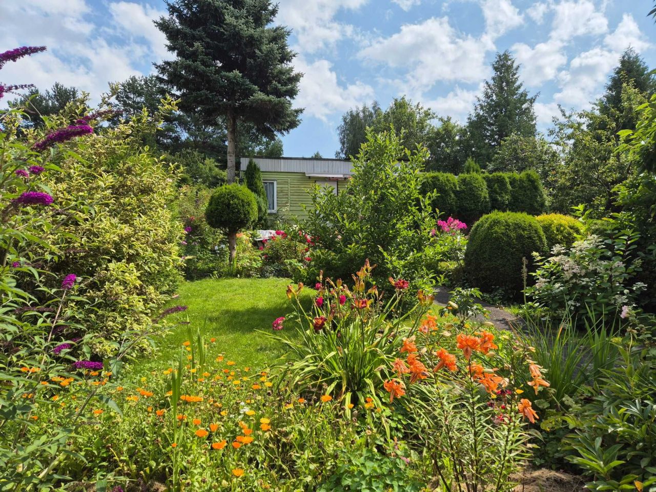 Działka rod Olsztyn