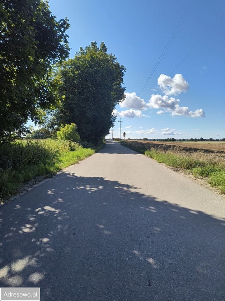 Działka rekreacyjna Perlino, ul. Leśna. Zdjęcie 5