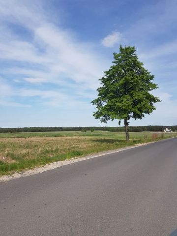 Działka budowlana Grąbków. Zdjęcie 1