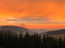 Działka budowlana Bartnica Wyrębina. Zdjęcie 1