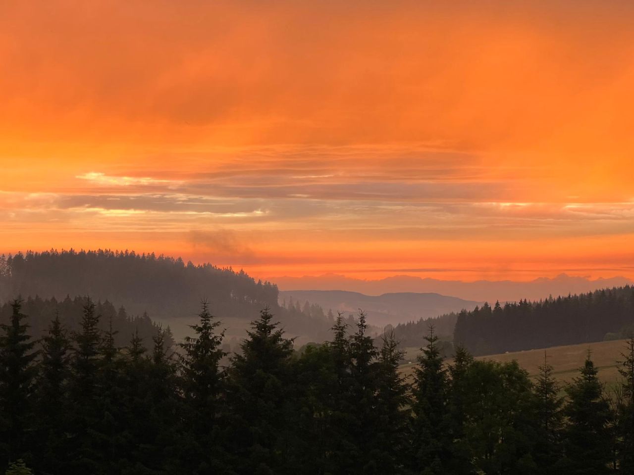 Działka budowlana Bartnica Wyrębina. Zdjęcie 2