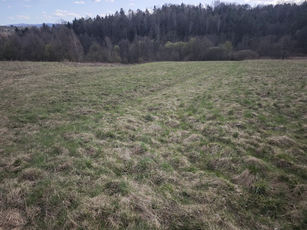 Działka rolna Włosań, ul. Kamienna. Zdjęcie 3