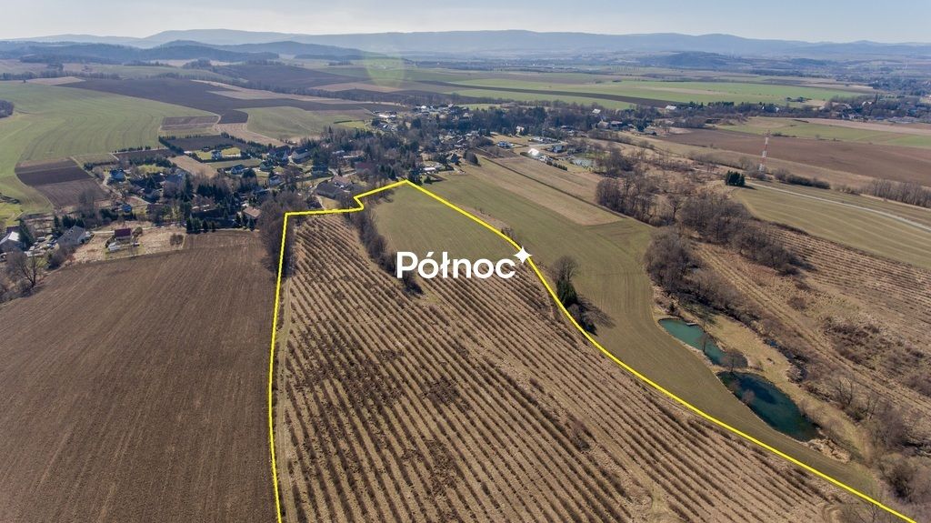 Działka rolna Jaszkowa Dolna. Zdjęcie 5
