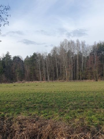 Działka leśna Celiny Szlacheckie. Zdjęcie 1