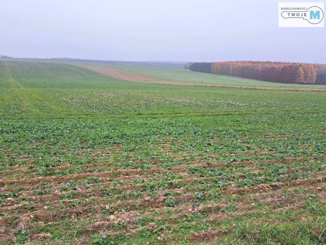 Działka Chęciny. Zdjęcie 15