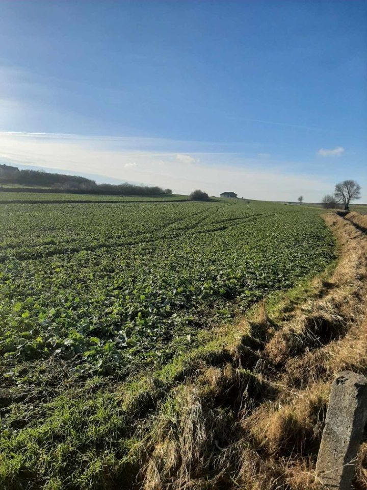 Działka budowlana Pułtusk. Zdjęcie 7