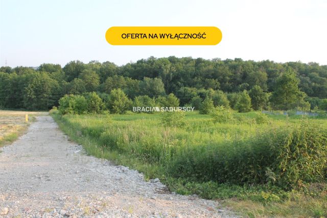 Działka siedliskowa Libertów, ul. Południowa. Zdjęcie 1