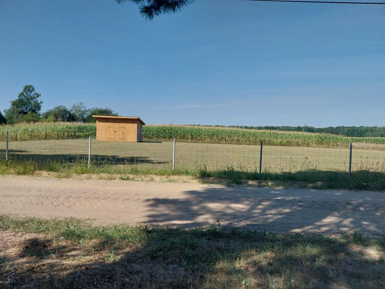 Działka budowlana Miedzna, Kolonia. Zdjęcie 7