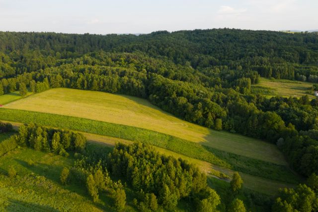 Działka rolno-budowlana Łazy Kiebło Łazowskie. Zdjęcie 1