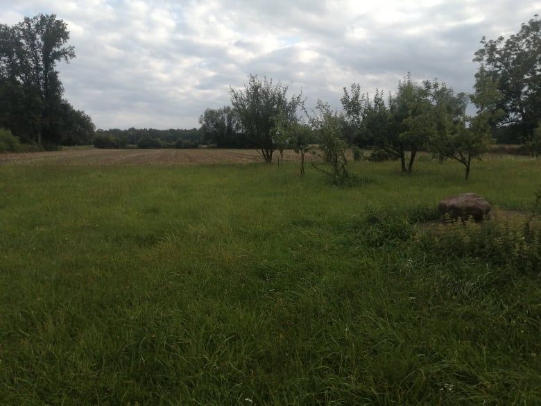 Działka budowlana Pomocnia. Zdjęcie 10