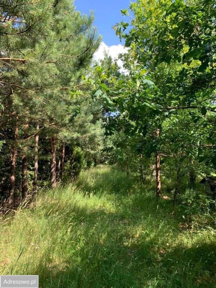 Działka rolno-budowlana Michałki. Zdjęcie 4