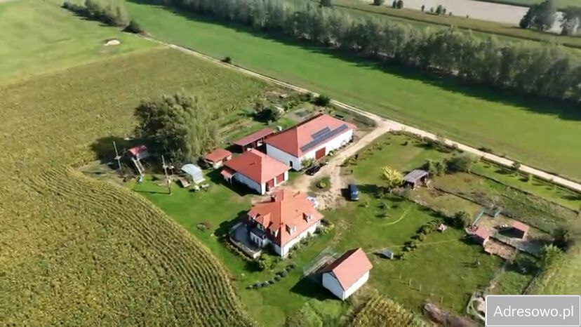 dom wolnostojący, 5 pokoi Ossówno. Zdjęcie 13