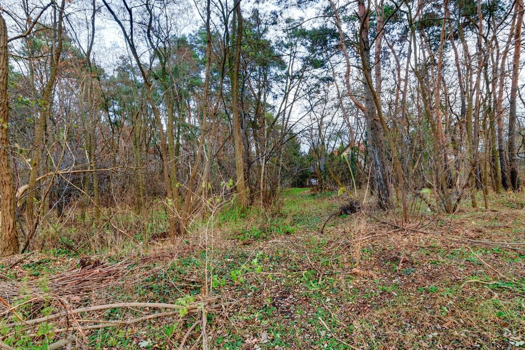 Działka budowlana Czosnów, ul. Warszawska. Zdjęcie 18