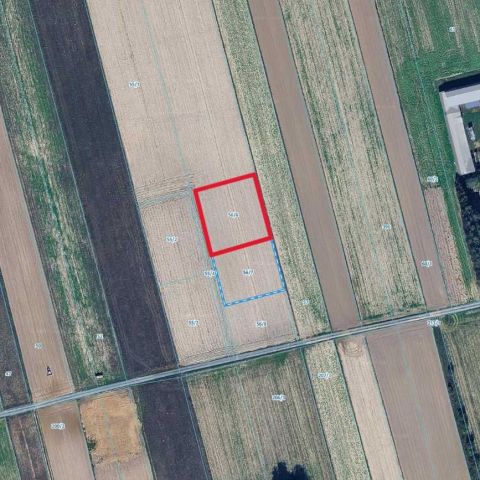 Działka budowlana Krasienin-Kolonia. Zdjęcie 1