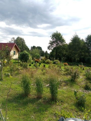 Działka budowlana Świętajno. Zdjęcie 1