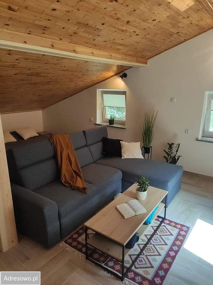 Lokal Majdan Sopocki Drugi. Zdjęcie 16