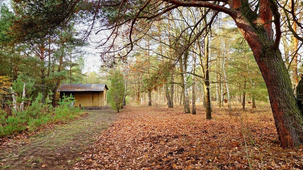 Działka budowlana Łomianki. Zdjęcie 4