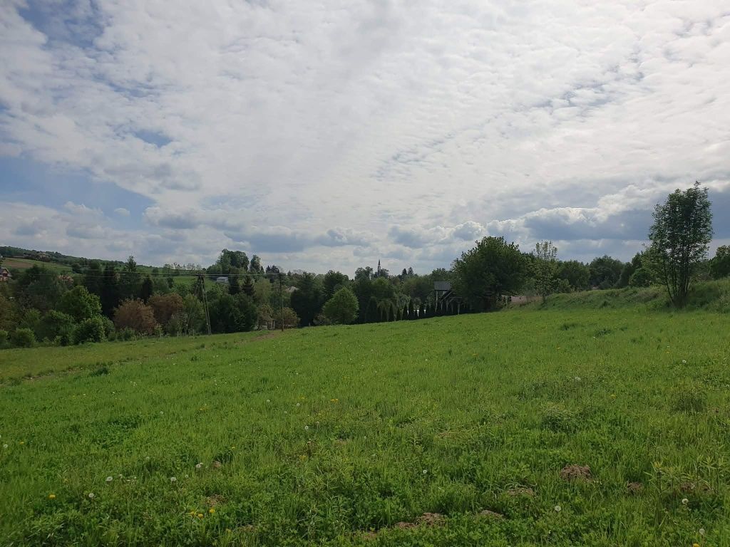 Działka rolno-budowlana Gogołów. Zdjęcie 1